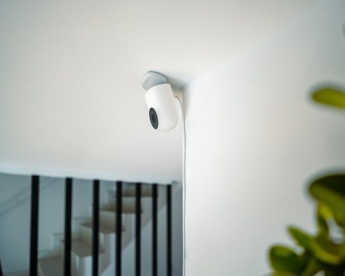 pexels-jakubzerdzicki-24783389