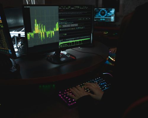 pexels-tima-miroshnichenko-5380594